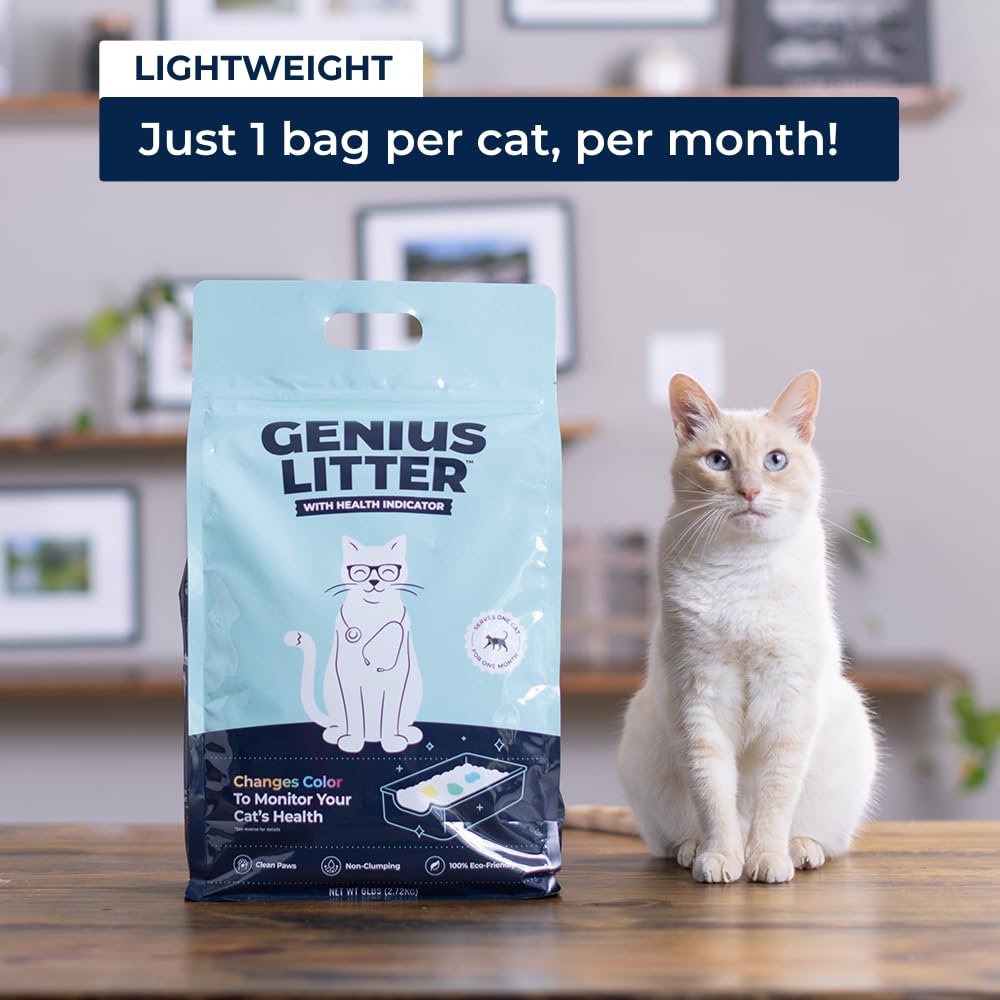 Lightweight Crystal Silica Gel Cat Litter, 6 lb Bag N973