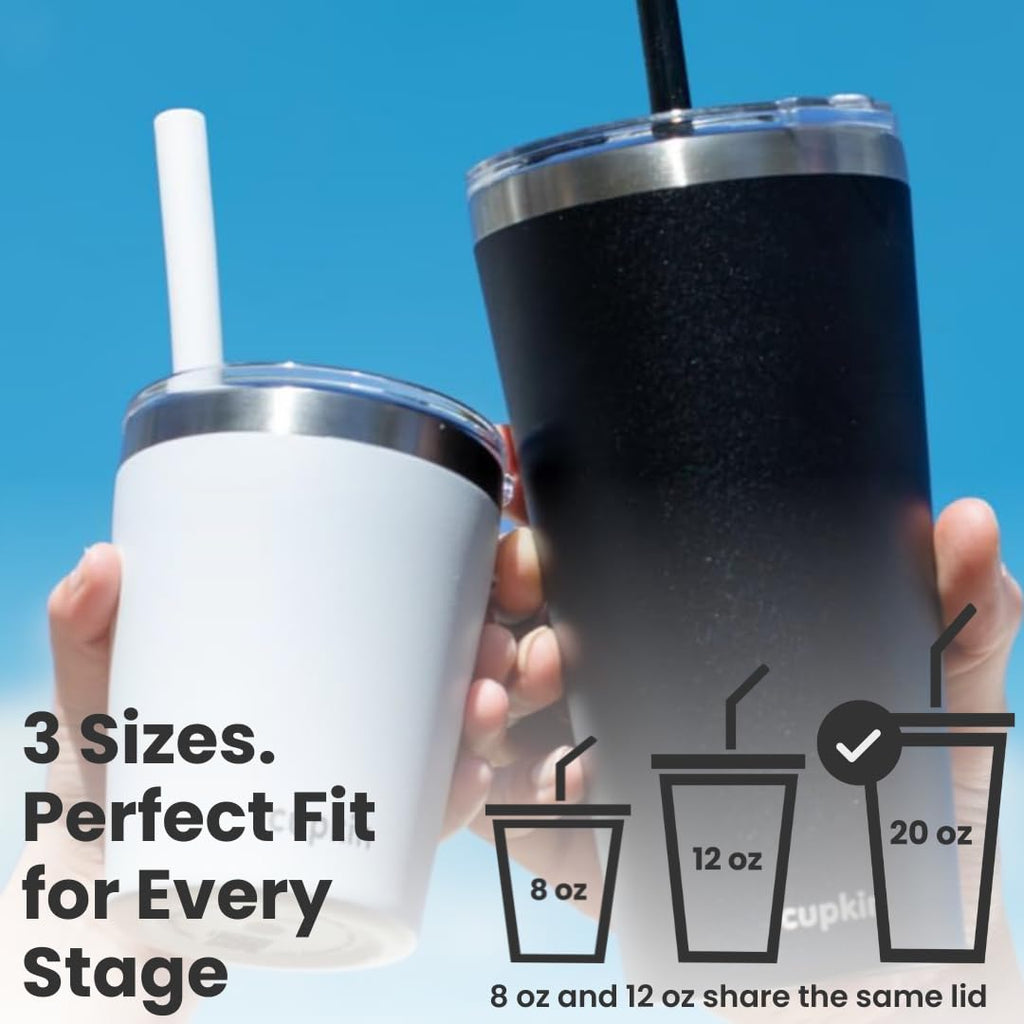 20 oz Stainless Steel Insulated Tumbler Set of 2 with Lid and Straw S34803