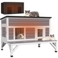 Outdoor Cat House with Insulated Liner V169