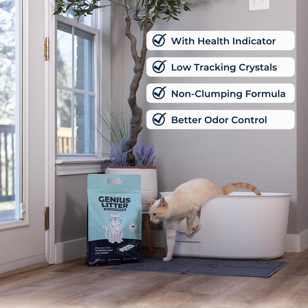 Lightweight Crystal Silica Gel Cat Litter, 6 lb Bag N973