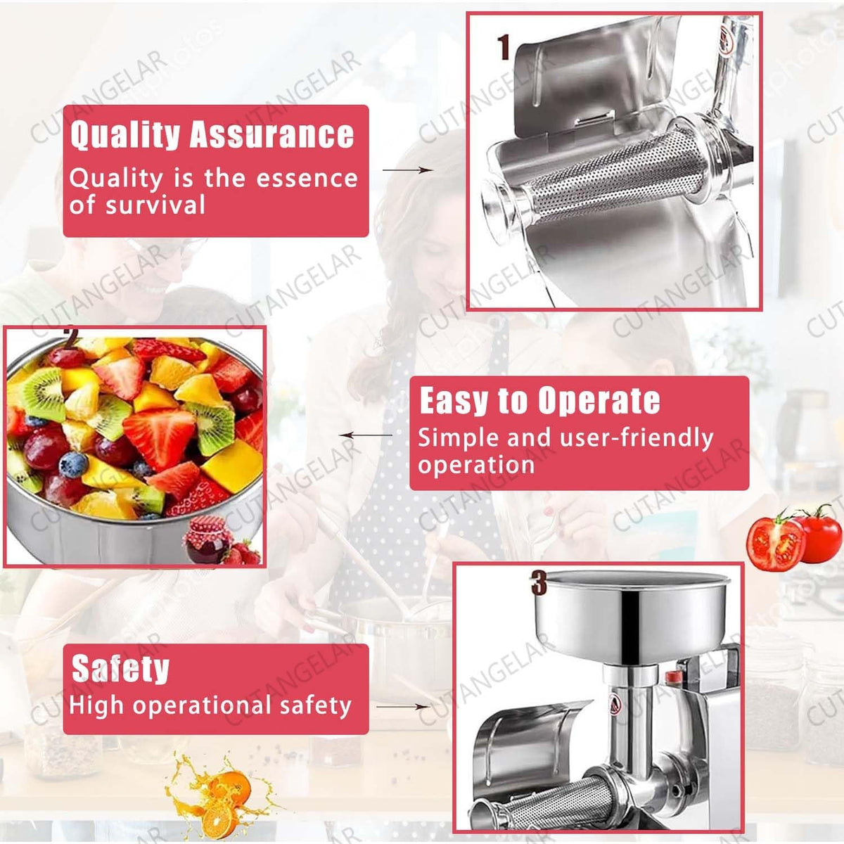 450W Electric Food Press with Steel Filter G82250