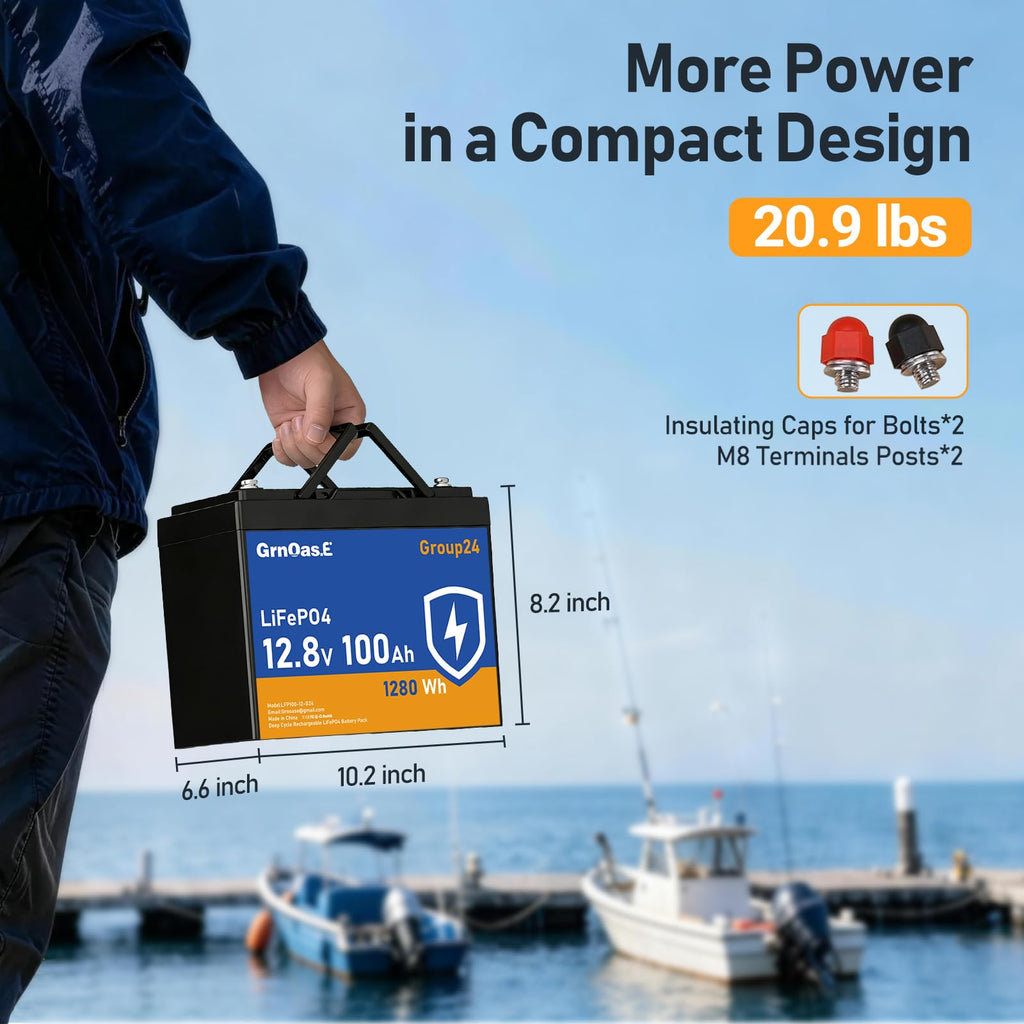 12V 100Ah LiFePO4 Deep Cycle Battery with 100A BMS F850149