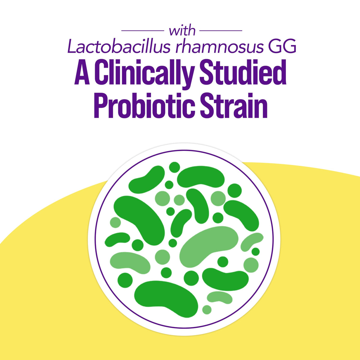 Probiotic 20B CFUs 30 Count G82504