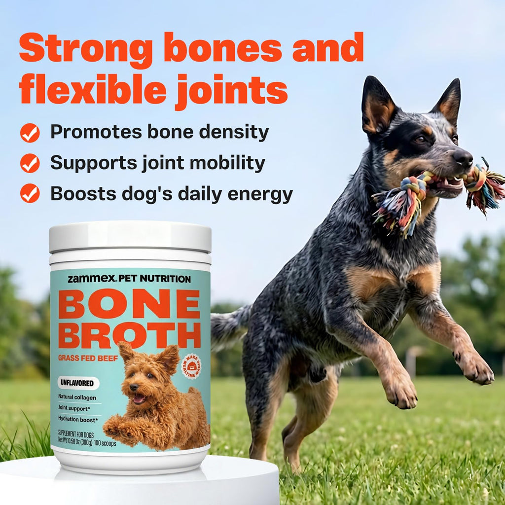 Bone Broth for Dogs Q2281