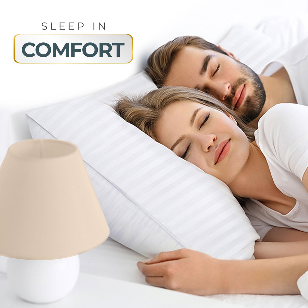 Queen Size Set of 2 Bed Pillows H219