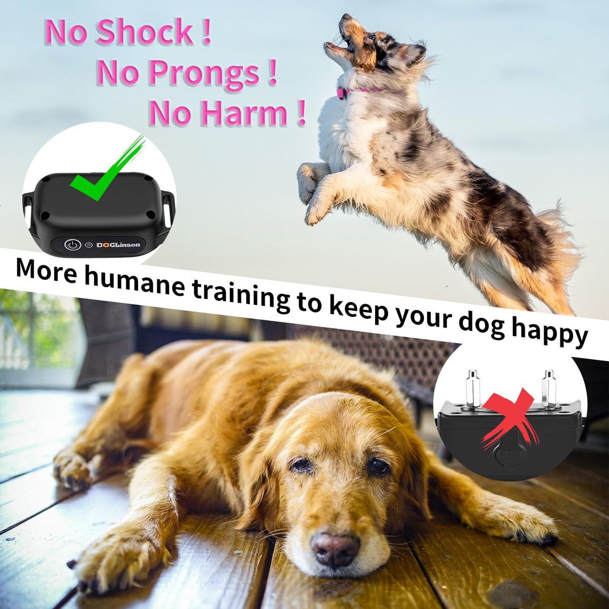 Dog Training Collar with Remote T7148