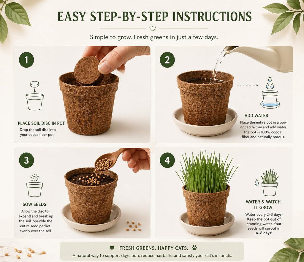 Organic Cat Grass Growing Kit 3 Pack with Soil Discs Coco Fiber Pots and Seeds H20107