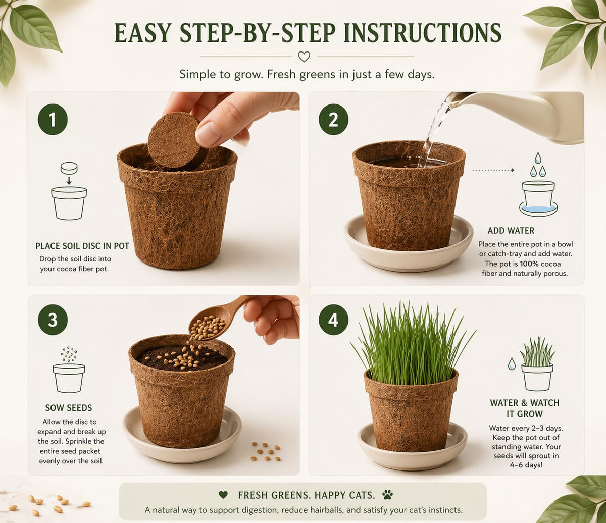 Organic Cat Grass Growing Kit 3 Pack with Soil Discs Coco Fiber Pots and Seeds H20107