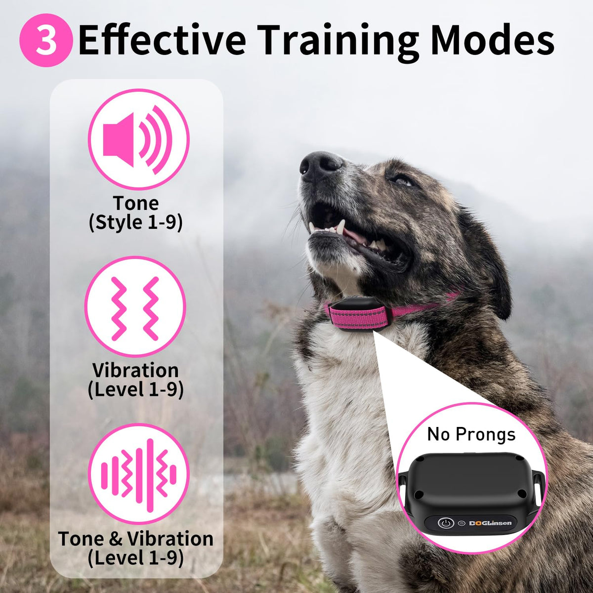 Dog Training Collar with Remote T7148