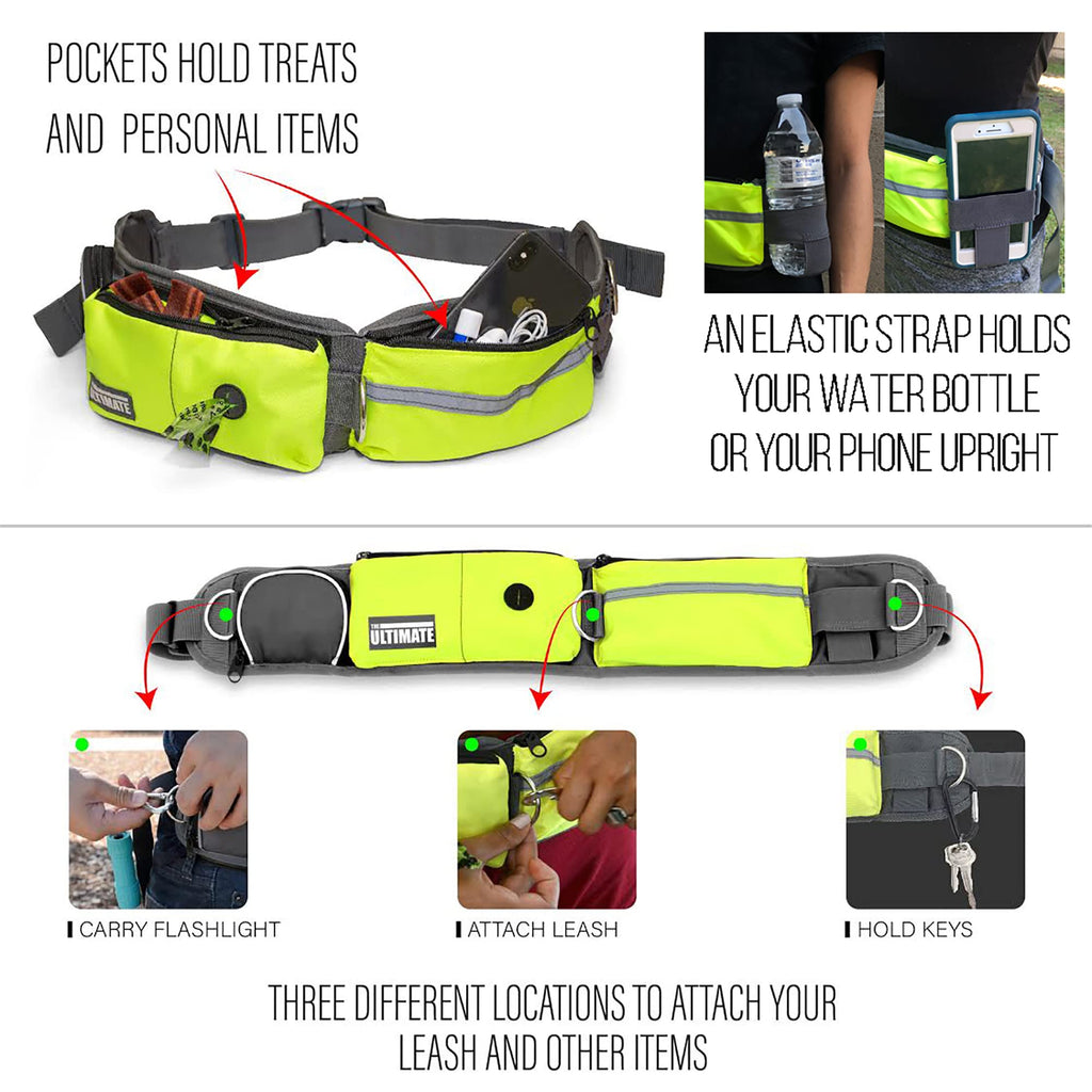 Hands Free Dog Leash with Reflective Bungee, Treat Holder, Poop Bag Dispenser J7918