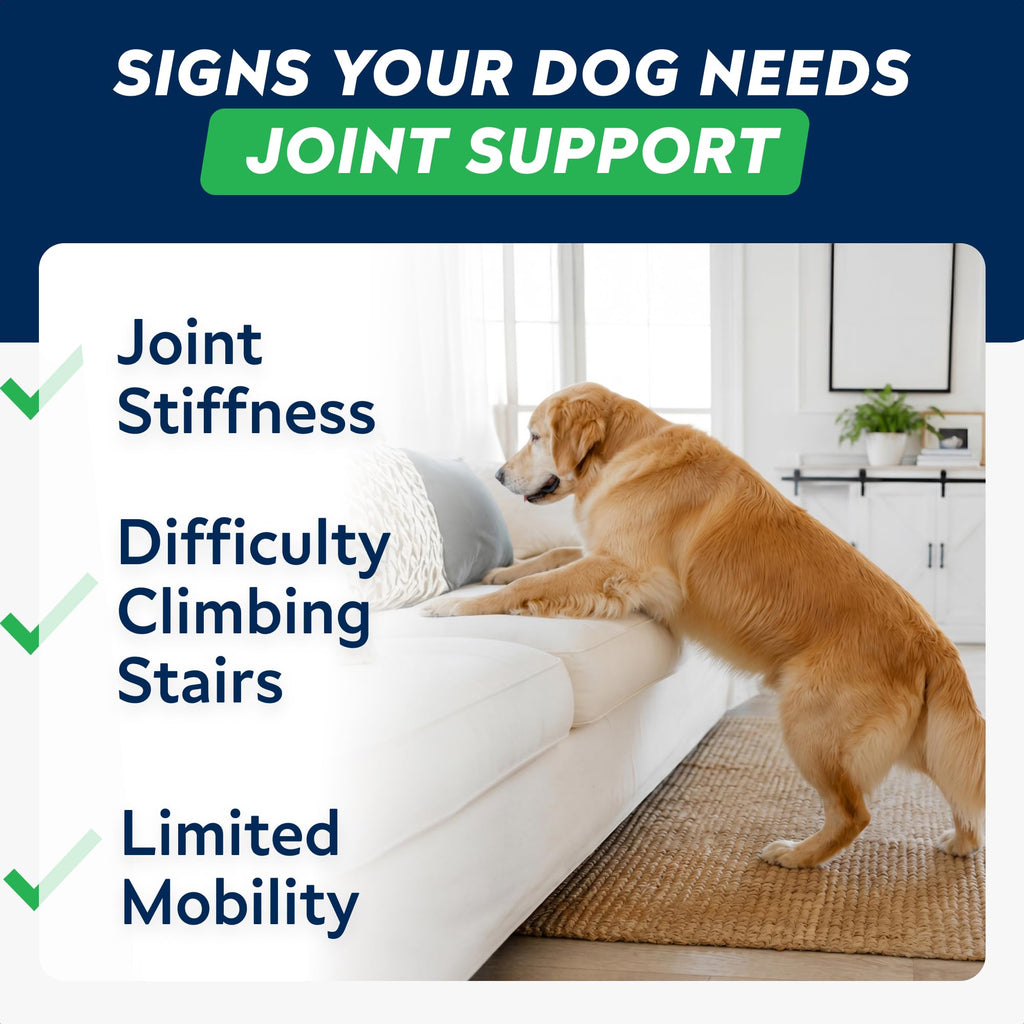 Hip Joint Supplement for Dogs W147