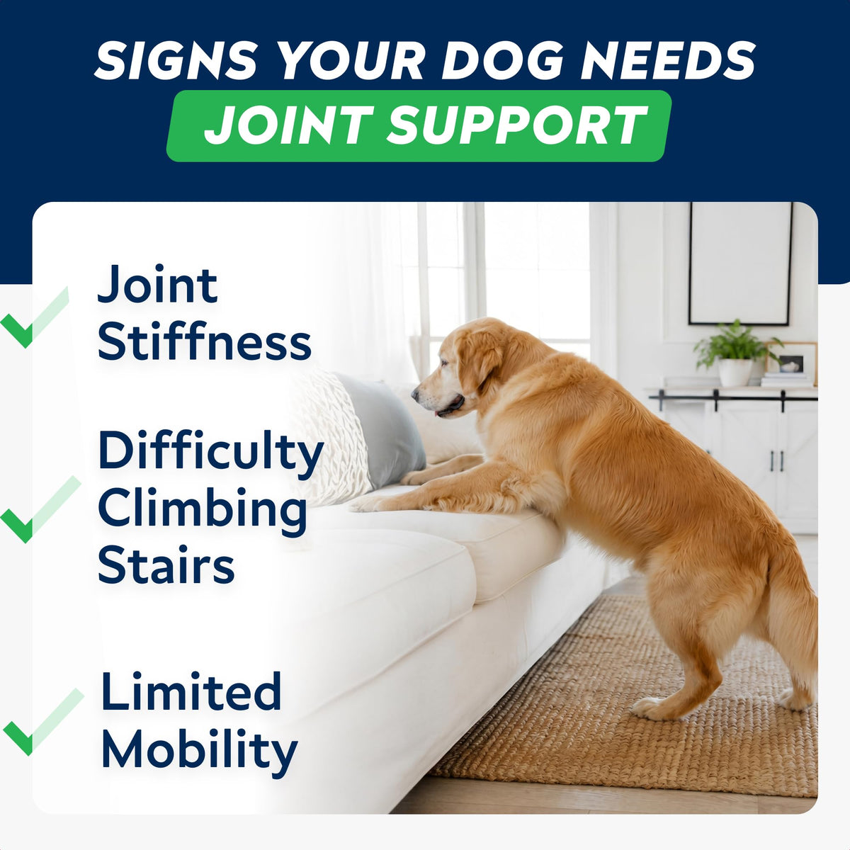 Hip Joint Supplement for Dogs W147