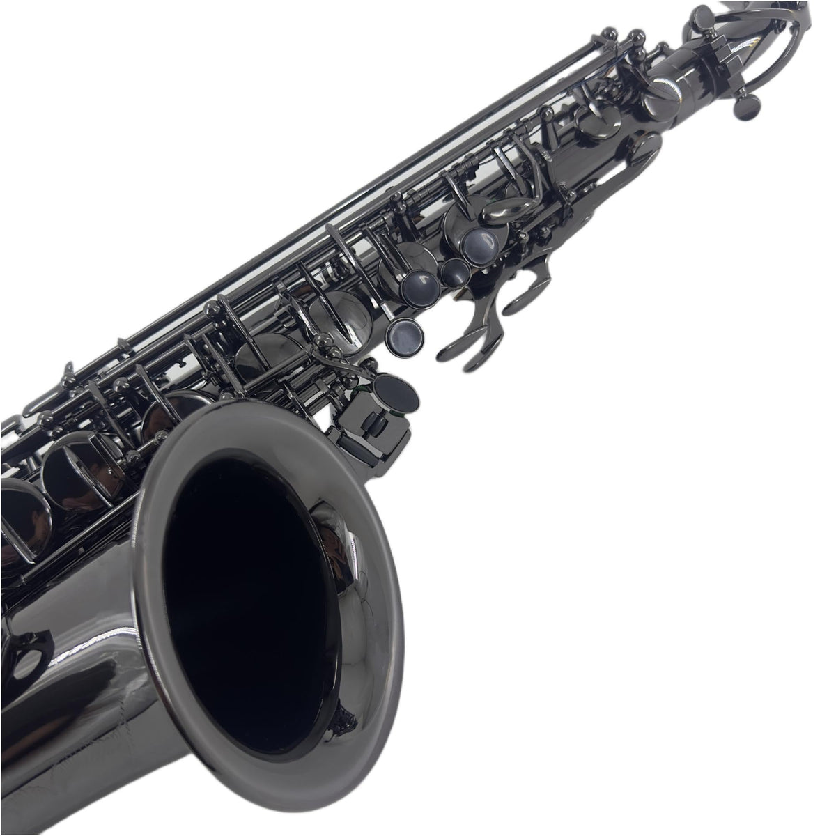 Alto Saxophone E Flat Black W314381