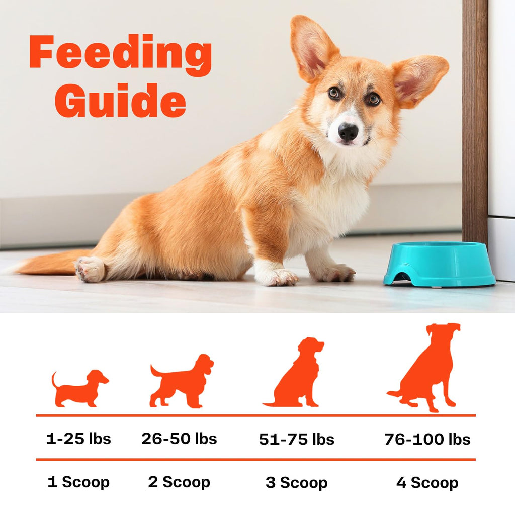 Bone Broth for Dogs Q2281