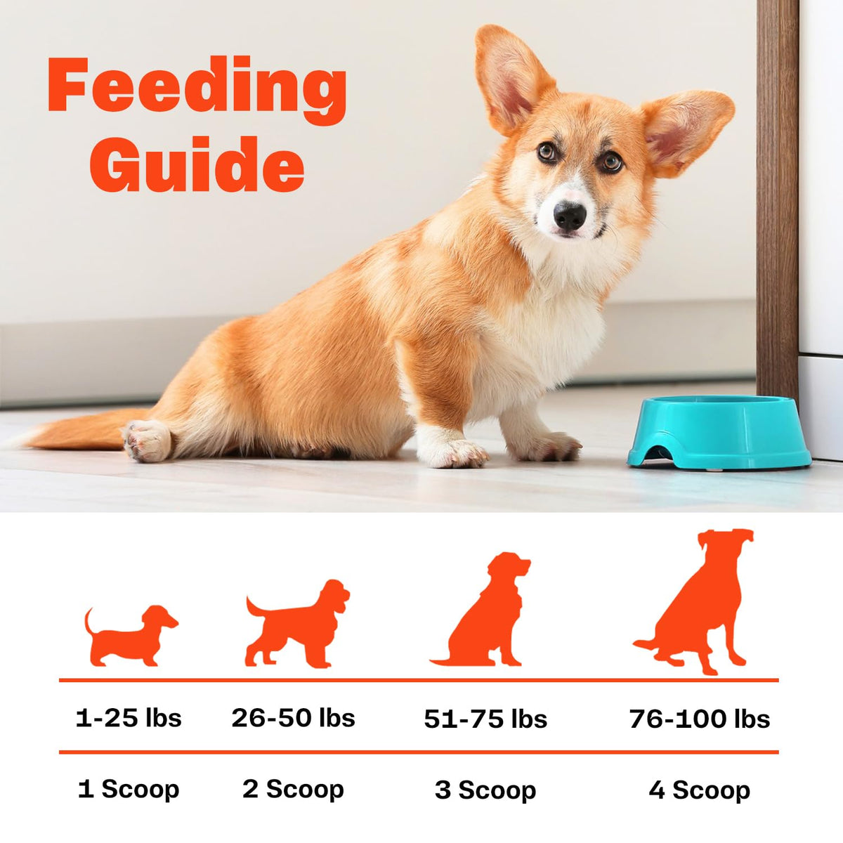 Bone Broth for Dogs Q2281