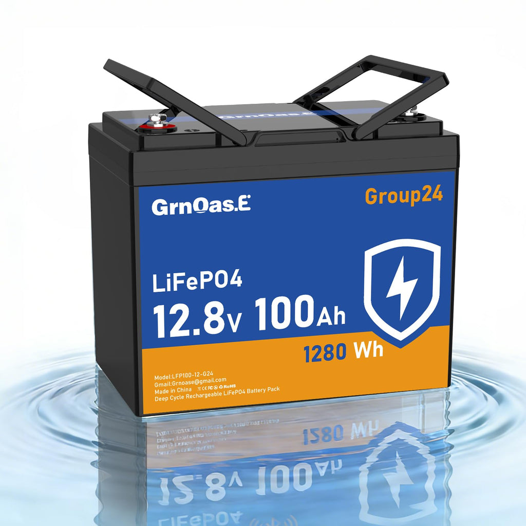 12V 100Ah LiFePO4 Deep Cycle Battery with 100A BMS F850149