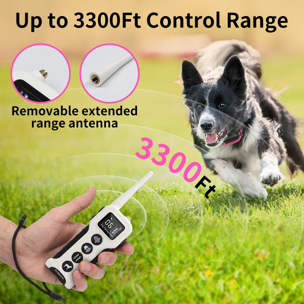 Dog Training Collar with Remote T7148