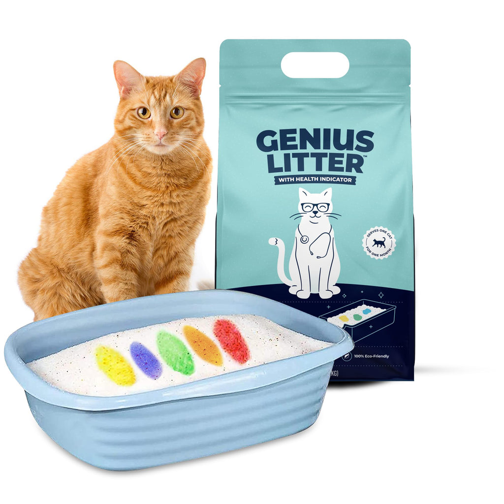 Lightweight Crystal Silica Gel Cat Litter, 6 lb Bag N973