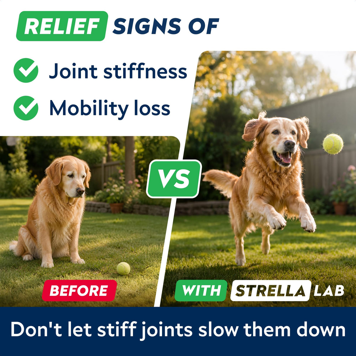 Hip Joint Supplement for Dogs W147
