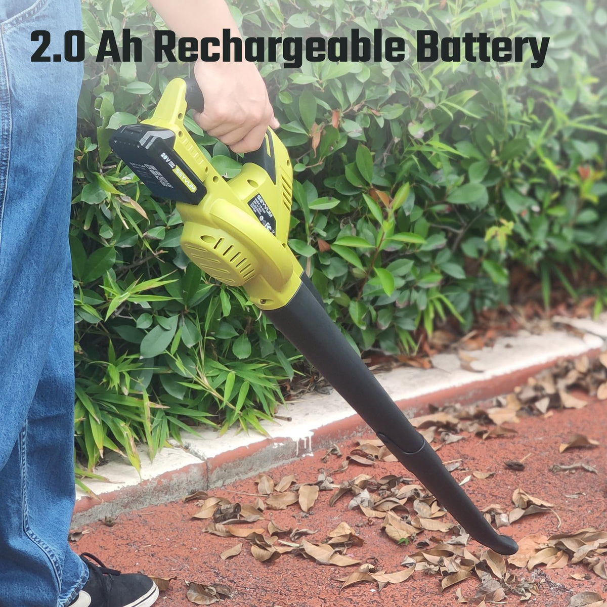 20V MAX 2.0 Ah Lithium-Ion Battery N557