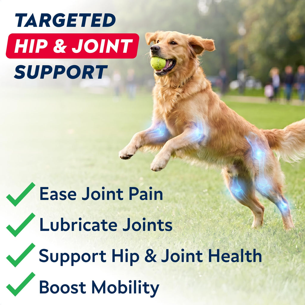 Hip Joint Supplement for Dogs W147
