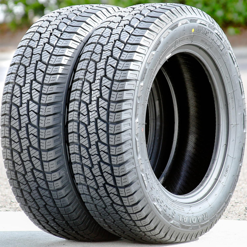 275/60R20 Tires W2121