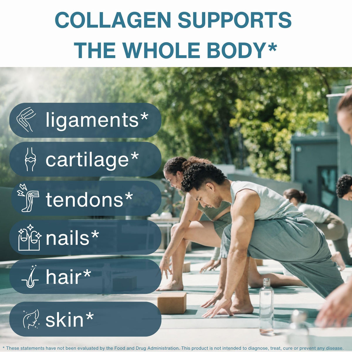 Hydrolyzed Bovine Collagen Peptides V561