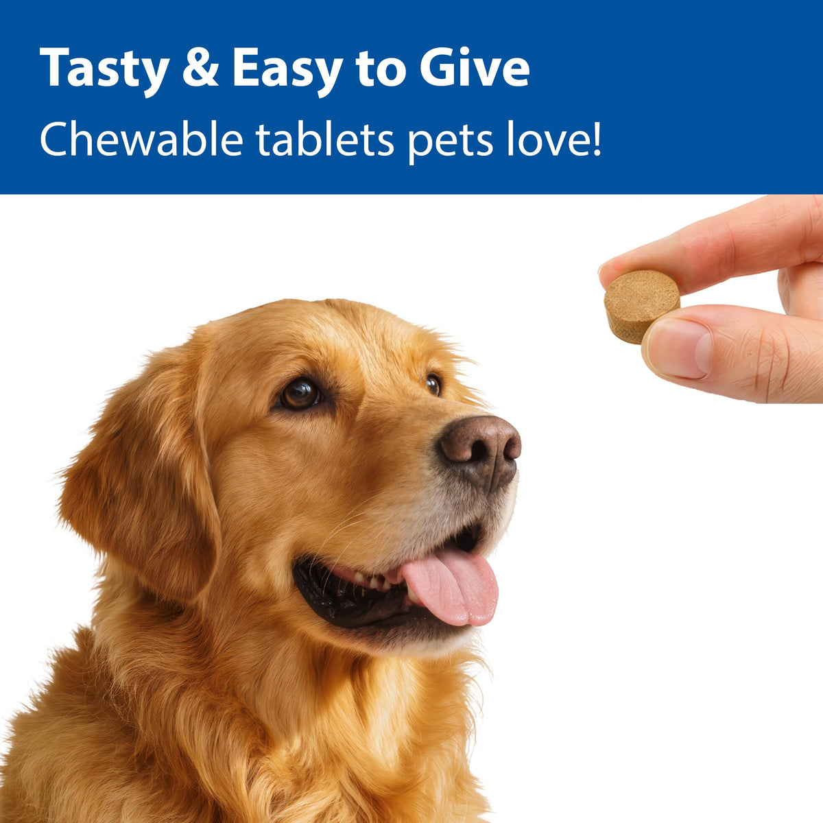 100 mg Chewable Tablets Liver Support Supplement O86646
