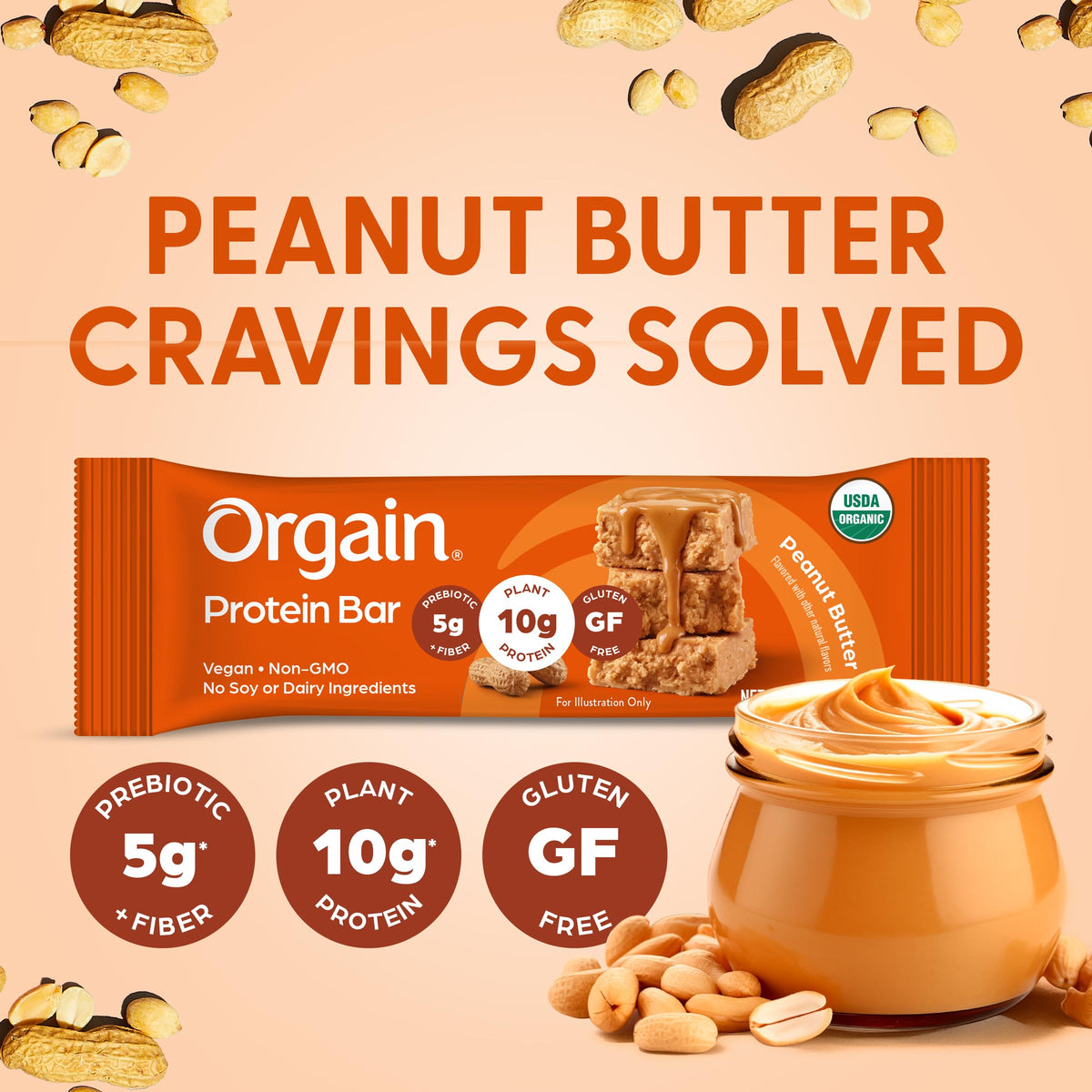 Organic Vegan 10g Protein Bars Peanut Butter 12 Pk E9837