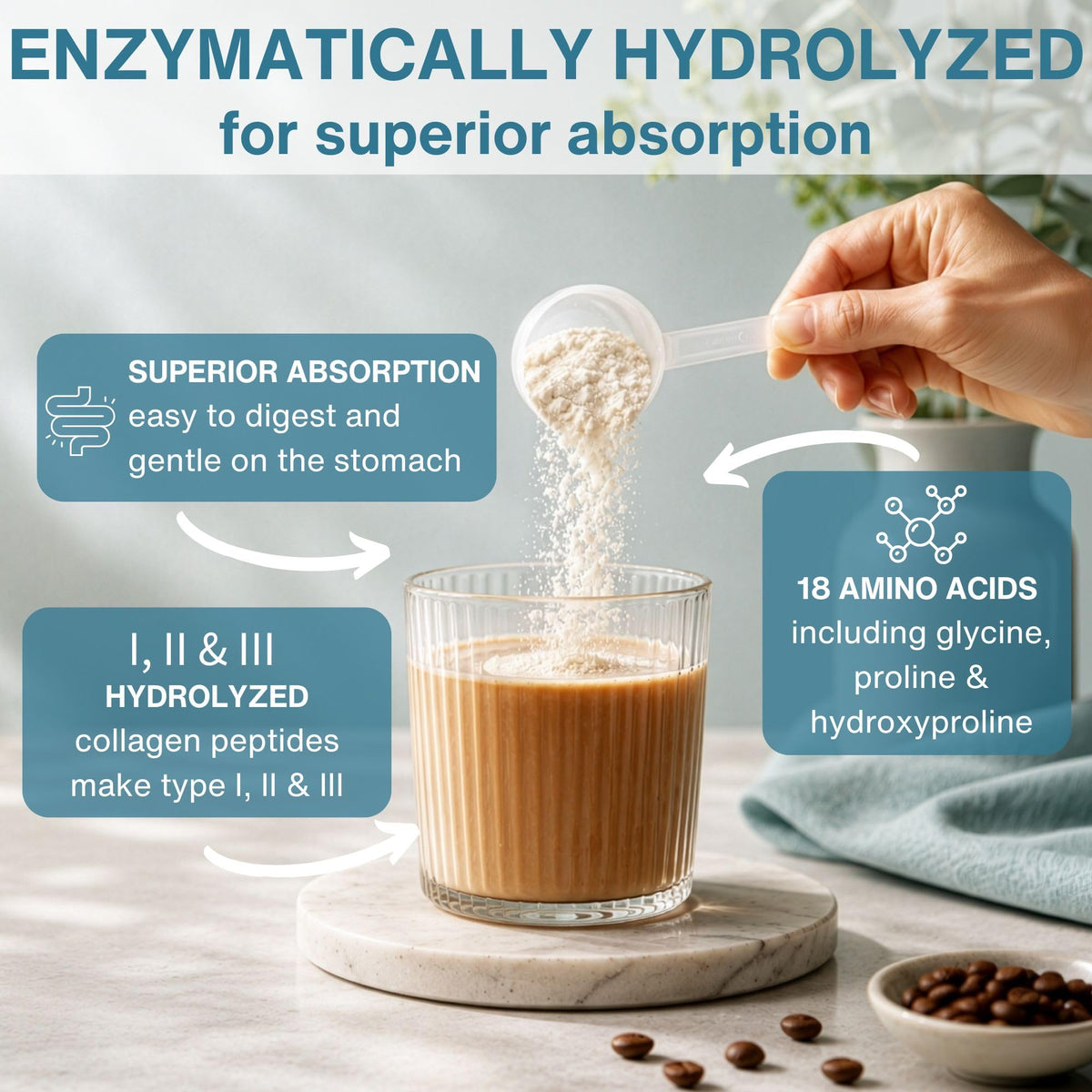 Hydrolyzed Bovine Collagen Peptides V561
