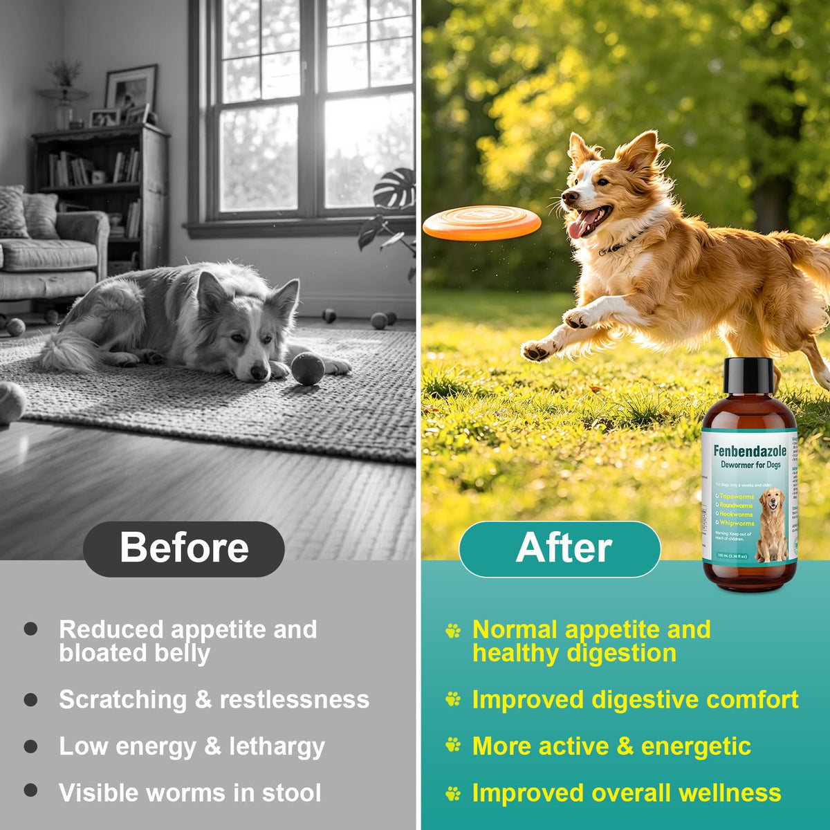 Dog Dewormer Liquid 100ml G98479