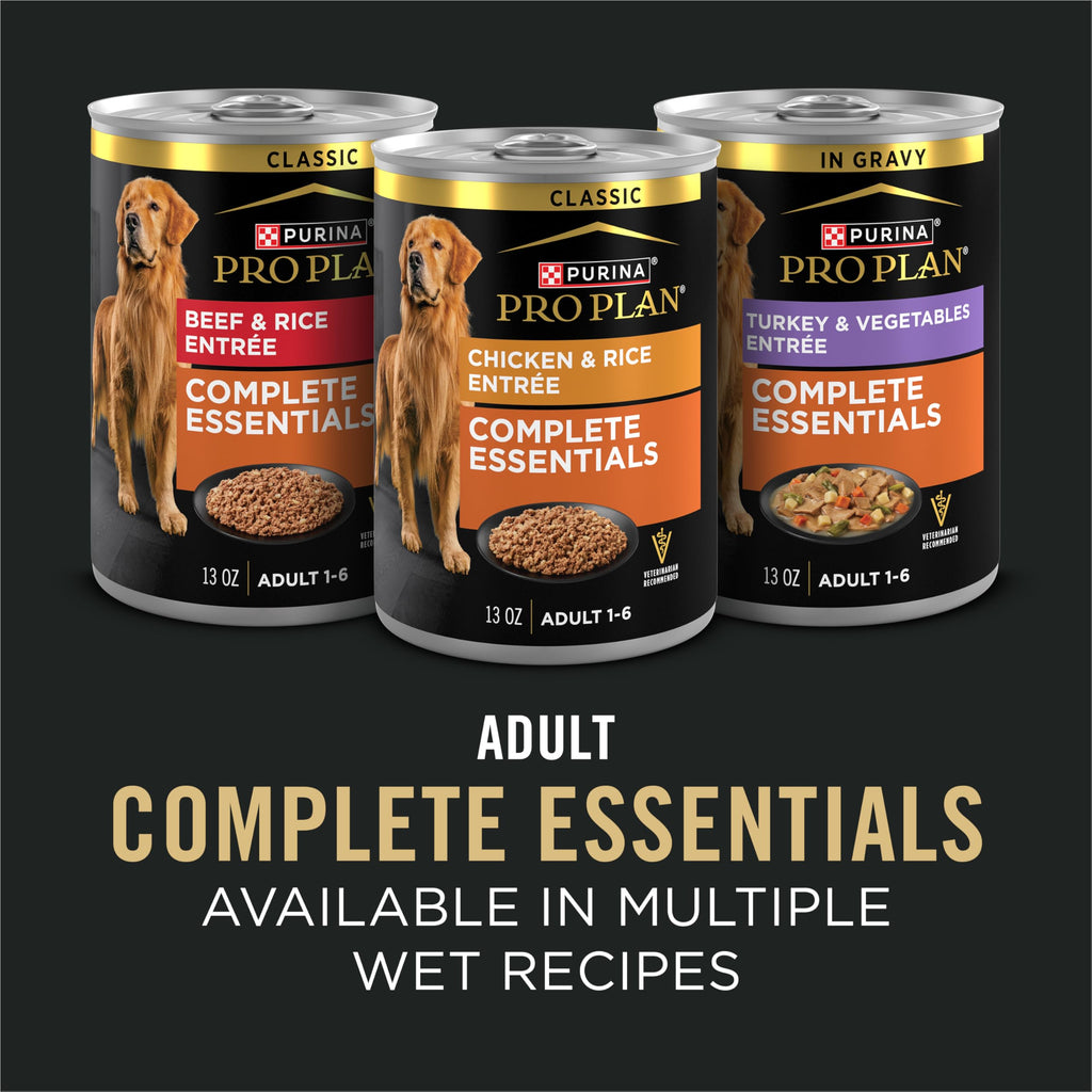 Salmon and Rice Dry Dog Food with Probiotics 15 lb D133161