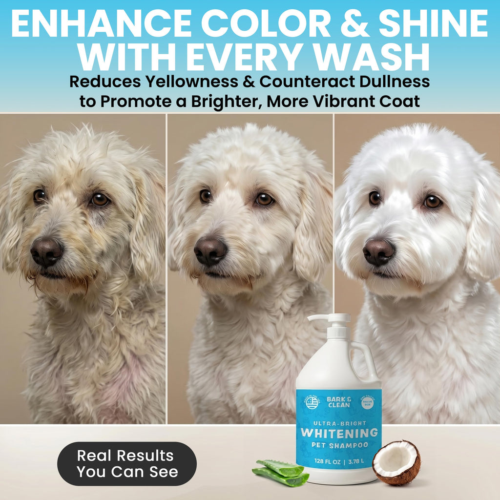 Whitening Dog Shampoo with Pump, 1 Gallon Aloe Coconut U44581