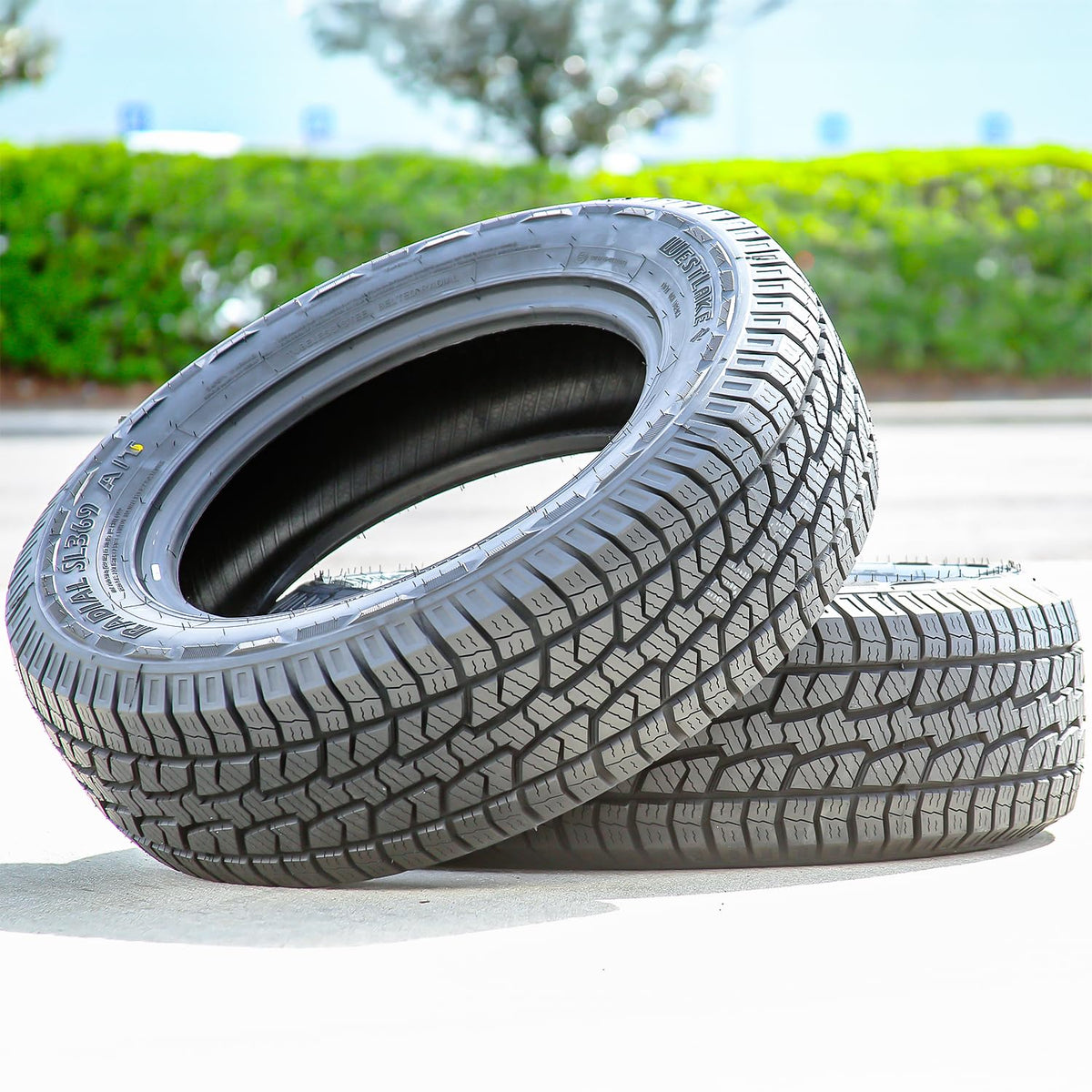 275/60R20 Tires W2121