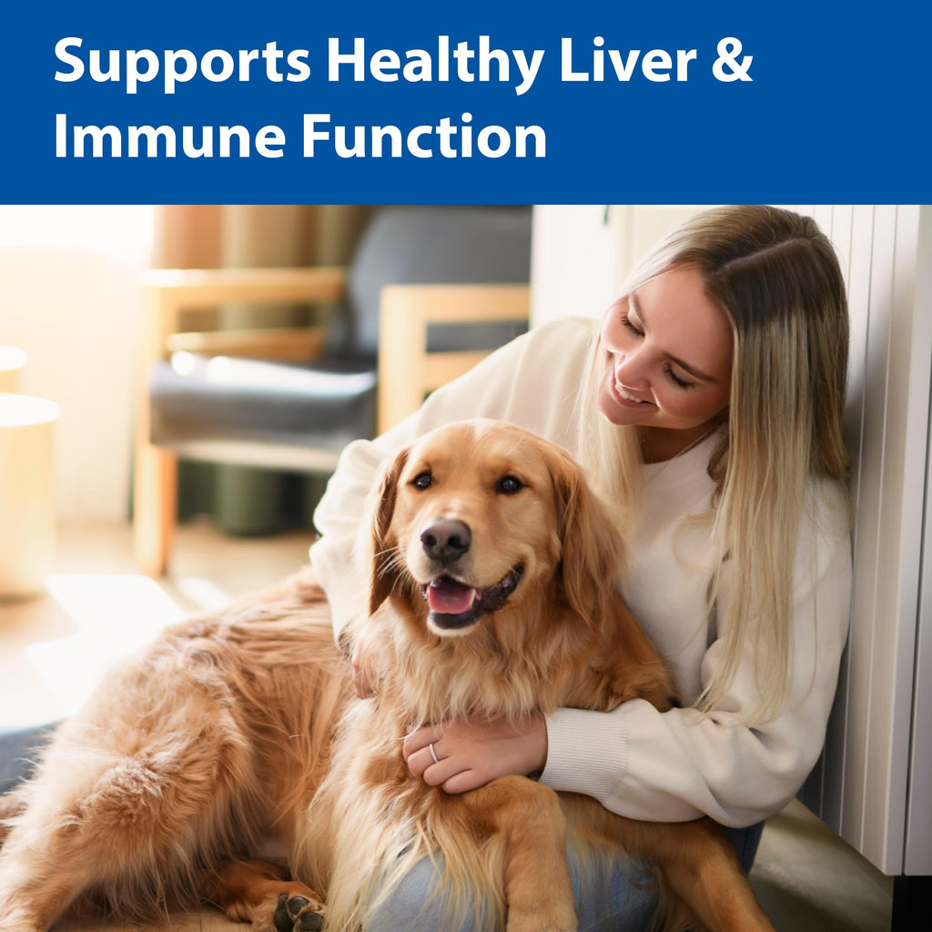 100 mg Chewable Tablets Liver Support Supplement O86646