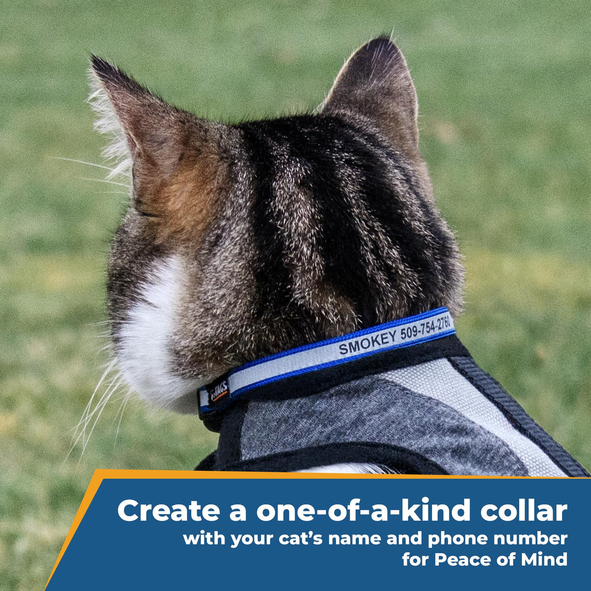 Reflective Cat Collar I810